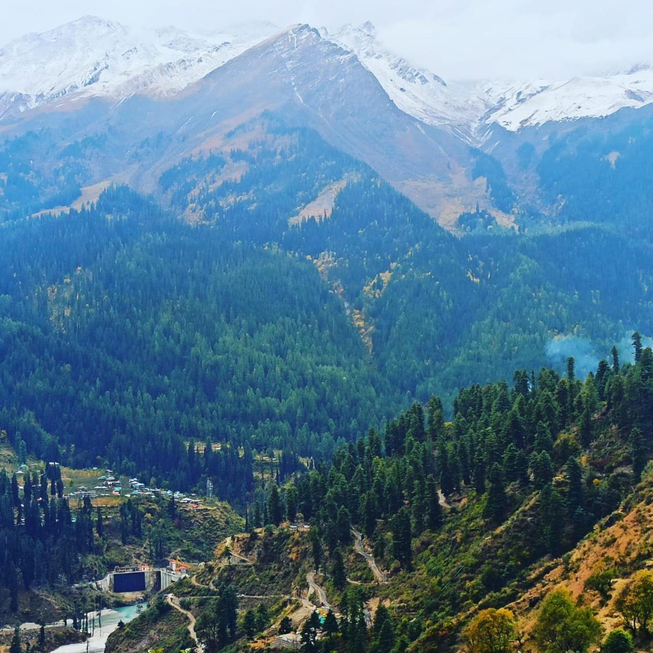 Aman Resort, Tosh Village, Himachal Pradesh Exteriör bild